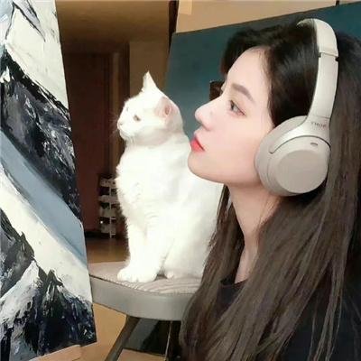 网诱惊魂